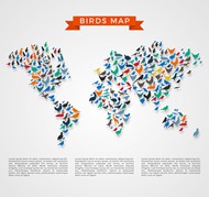 鸟类世界地图矢量图片