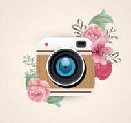 照相机和花卉矢量图片