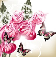 兰花和蝴蝶矢量图片
