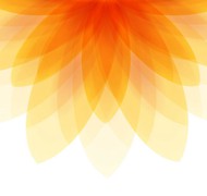 橙色花形背景矢量图片