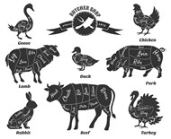 动物肉块注释矢量图片
