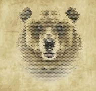 棕熊像素头像矢量图片