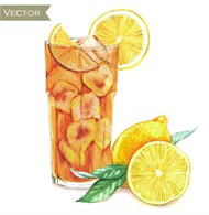 柠檬鸡尾酒矢量图片