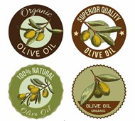 橄榄油标签矢量图片