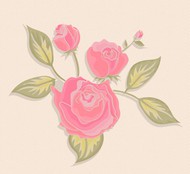 粉色玫瑰花矢量图片