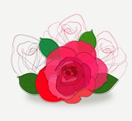 彩绘红色玫瑰花矢量图片