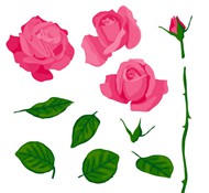 粉色玫瑰与叶子矢量图片