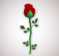 单枝红玫瑰花矢量图片