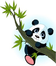 爬树枝的熊猫矢量图片