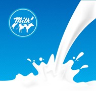 飞溅的新鲜牛奶矢量图片