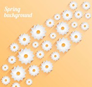 春天白色花卉背景矢量图片