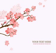 樱花花枝背景矢量图片