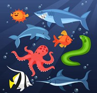 卡通海洋动物矢量图片