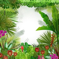 热带植物背景矢量图片