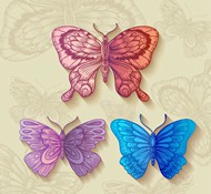 彩色花纹蝴蝶矢量图片