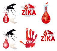蚊子卡通矢量图片