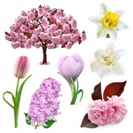 粉色花朵植物矢量图片