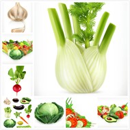 蔬菜水果矢量图片