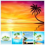 夏季岛屿椰子树矢量图片