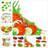 新鲜的蔬菜矢量图片