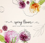 水彩春季花卉矢量图片