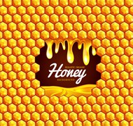 蜂蜜六边形背景矢量图片