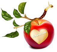 心形苹果和樱桃矢量图片