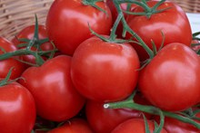 红番茄新鲜高清图