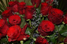 火红玫瑰花束精美图片