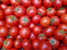 西红柿蔬菜背景图片下载