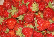 诱人水果草莓高清图片