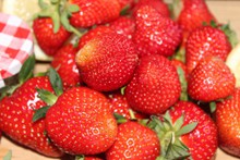 鲜红草莓水果图片素材