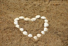 沙滩上贝壳摆放爱心精美图片