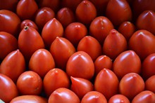 红色小番茄背景高清图