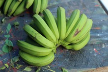 绿色香蕉串素材图片素材