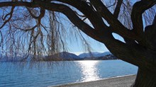 湖泊树木风景高清图片