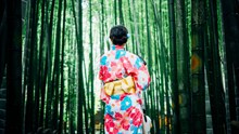日式和服美女背影精美图片