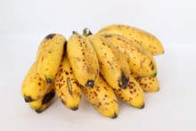成熟黄色香蕉图片素材