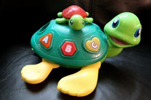 儿童玩具乌龟高清图