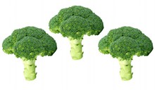 绿色西兰花蔬菜高清图