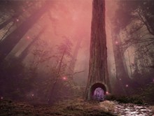 梦幻童话森林图片下载