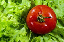 番茄生菜沙拉素材高清图