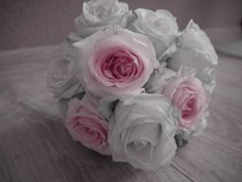 白色手捧玫瑰花束图片大全