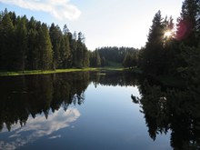 树木湖泊湖水景观高清图片