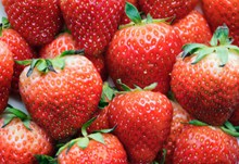 新鲜草莓高清高清图片
