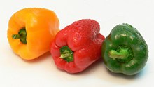健康青椒蔬菜图片下载