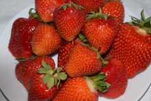 红色食用草莓高清图