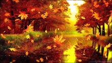 秋季落叶唯美风景高清图