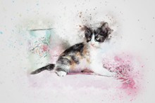 小猫水彩画精美图片