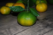 柑橘水果特写高清图片